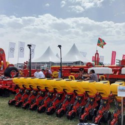 Золотая Нива 2024