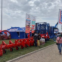 Золотая Нива 2024