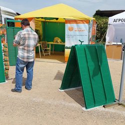 Золотая Нива 2024