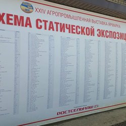 Золотая Нива 2024