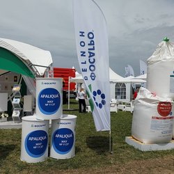 Золотая Нива 2024