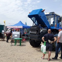 Золотая Нива 2024