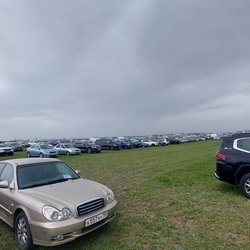 Золотая Нива 2024