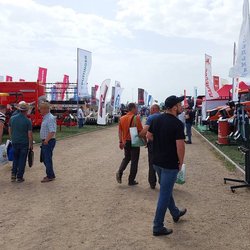 Золотая Нива 2024