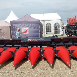 Золотая Нива 2024