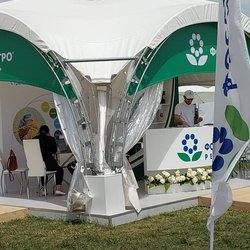 Золотая Нива 2024