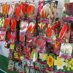 ЮГАГРО 2024: фотоотчет с выставки