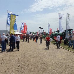 Золотая Нива 2024