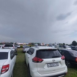 Золотая Нива 2024