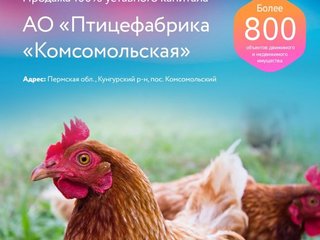 Продажа АО "Птицефабрика "Комсомольская"
