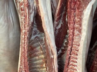 Мясная продукция оптом