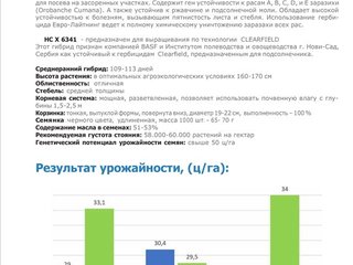 Семена подсолнечника