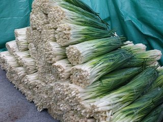 Зелёный лук от "Грин Баскет"