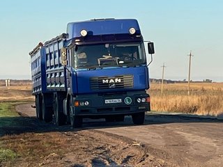 Услуги зерновозов и щеповозов. Оказываем услуги по перевозке зерна.