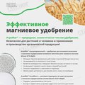 Русское горно-химическое общество, ООО/ РГХО
