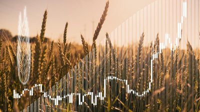 В Хабаровском крае создали нейросеть для прогноза урожайности культур