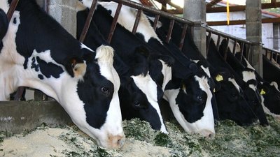 Около 5,4 млрд рублей выделено на поддержку предприятий АПК и развитие сельских территорий Нижегородской области в 2023 году