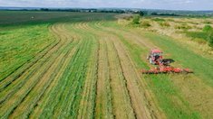 В Костромской области скошено 78% кормовых культур от плана