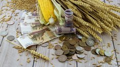 Новые законодательные решения поддержат устойчивое развитие АПК — Минсельхоз РФ