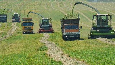 Аграрии Красноярского края начали запасать силос