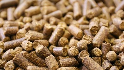 Импортные компоненты для кормов будут проходить таможню быстрее