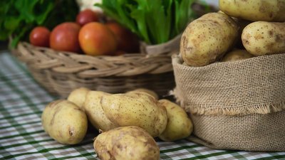 В Калининградской области собрано 105 тыс. т овощей и картофеля 