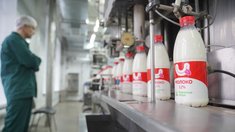 Прирост объемов производства пищевых продуктов в Ивановской области в первом квартале составил 5%