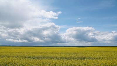 Липецкая область подтверждает свой статус региона-лидера по многим показателям