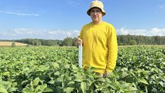 Новый сорт сои вывели в научно-исследовательском институте рапса Липецкой области