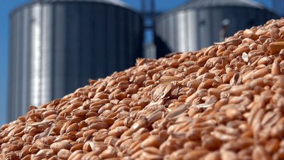 В Липецкой области построят семенной завод