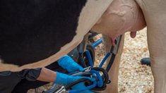 В 2025 году спрос на аграриев с навыками работы с ИИ вырос более чем вдвое