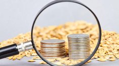 Железнодорожным перевозчикам выделят 9,5 млрд руб. на компенсацию сниженных тарифов для сельхозпродукции