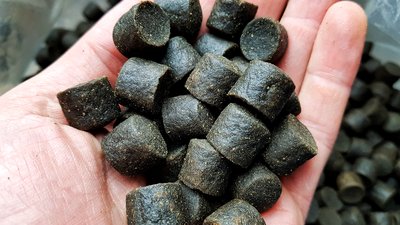 В Курской области развивают производство кормов для рыбы