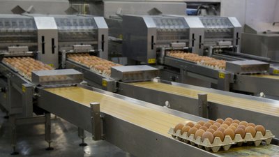 Предприятия Красноярского края увеличили объём производства продуктов питания