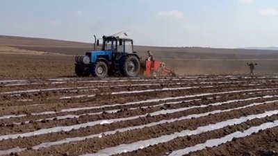 Хозяйства Забайкалья приступили к посадке картофеля и овощей