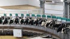 Сельхозтоваропроизводителям Красноярского края возместят затраты на обновление машинно-тракторного парка и оборудования