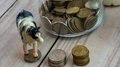 В Республике Алтай освоено 83,8% средств на поддержку приоритетных направлений АПК