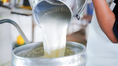 Жители Саратовской области обеспечены молоком собственного производства на 100%