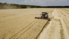 Господдержка АПК в 2025 году составила 665 млрд рублей