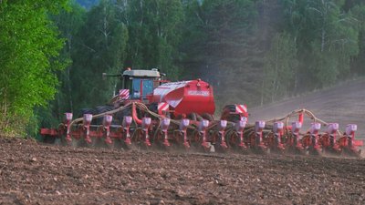 Яровые культуры в России уже посеяли на 500 тыс. га