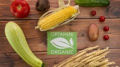 РФ и КНР договариваются о взаимной сертификации органической продукции