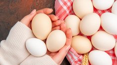 В Приморье выросло поголовье птиц и производство яиц