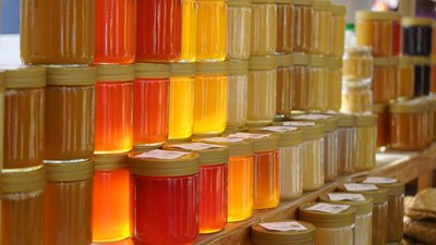 Россия увеличила продажу меда за рубеж