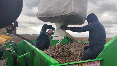 Посевная в Красноярском крае выполнена более чем на 80%