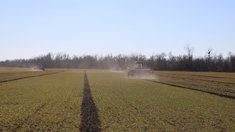 Аграрии Запорожской области продолжают подкормку озимых культур