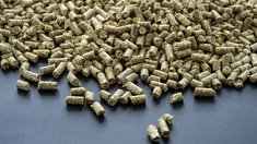 Производство комбикормов в РФ может достичь 40 млн т к 2030 году — эксперт