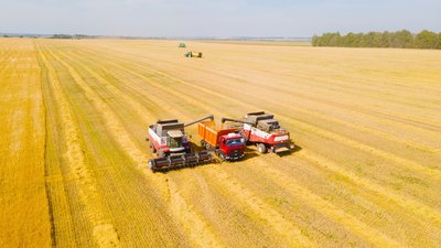 В Ивановской области зерновые убраны с 80% площадей
