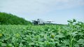 Применение новейших технологий изменит ведение сельского хозяйства — «Российская газета»
