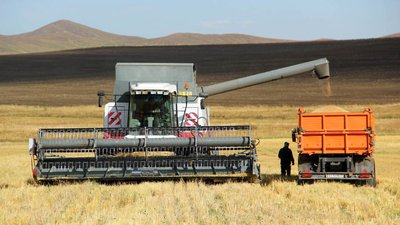 Более 90 тыс. тонн сельхозпродукции экспортировали за полгода из Забайкалья
