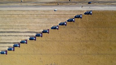 Кредитование сезонных полевых работ увеличилось на 40,1%